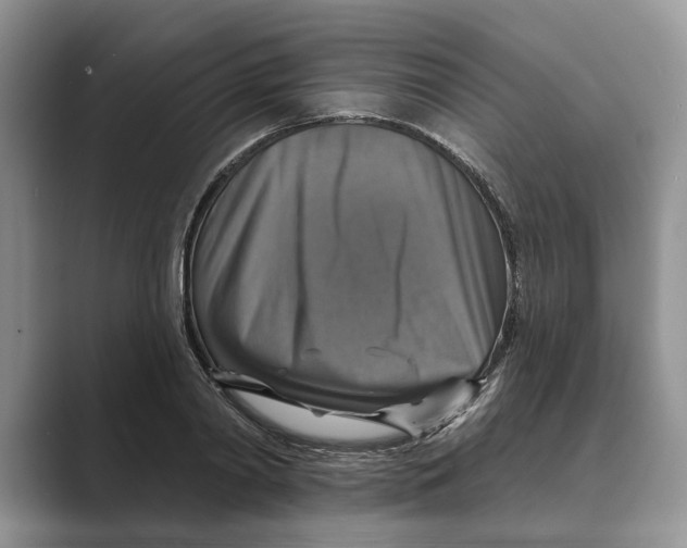X0000088850790200707061032