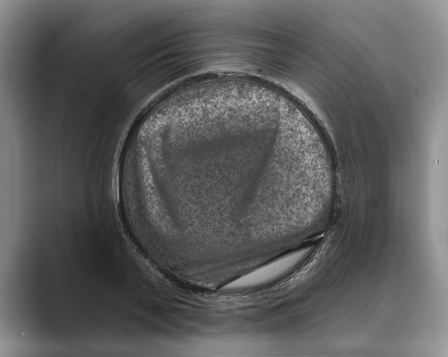 X0000088850791200707061032