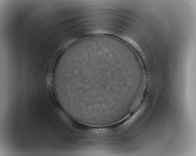 X0000088850793200707061032
