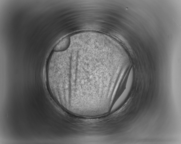 X0000088850796200707061032