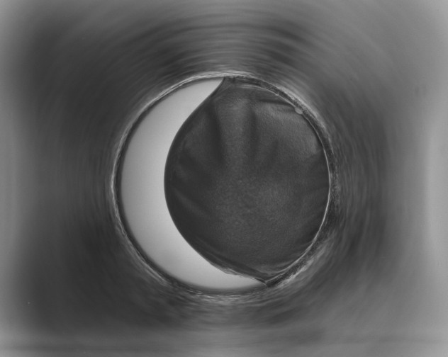 X0000088850797200707061032