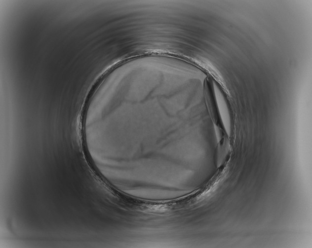 X0000088850798200707061032