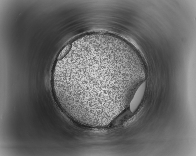 X0000088850799200707061032