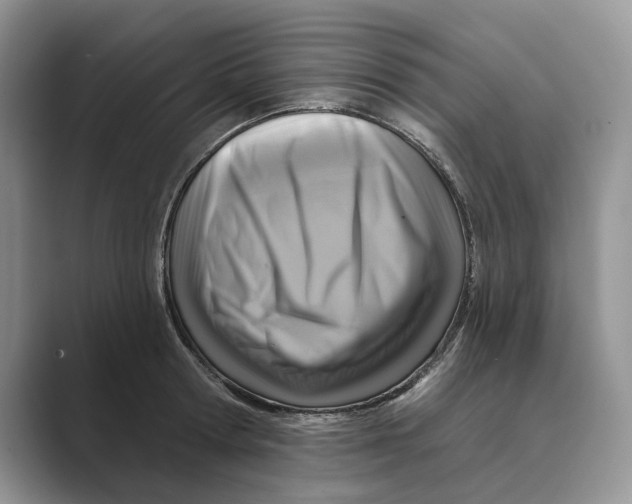 X0000088850802200707061032