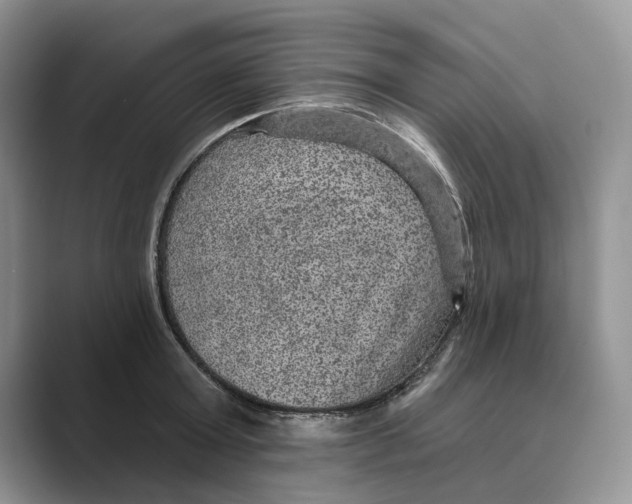 X0000088850803200707061032