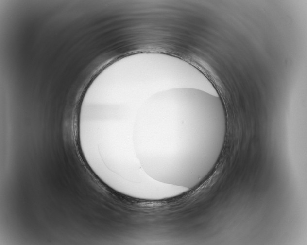 X0000088850804200707061032