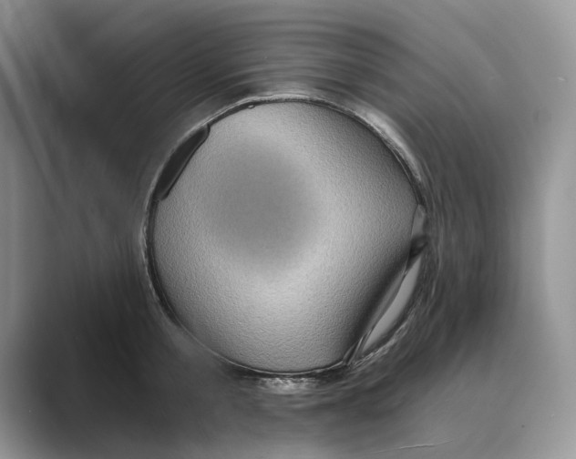X0000088850805200707061032