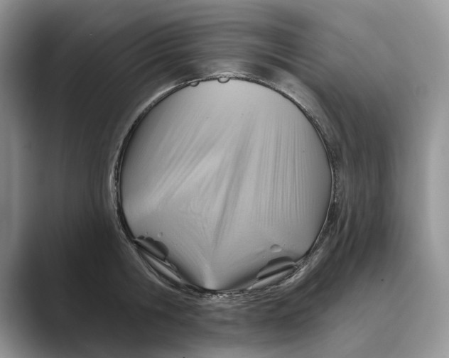 X0000088850806200707061032