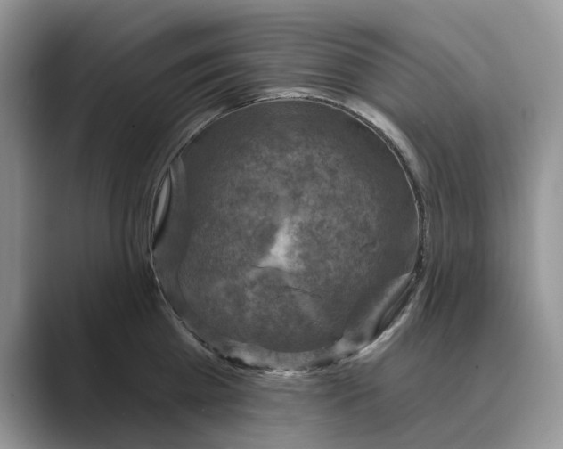 X0000088850809200707061032