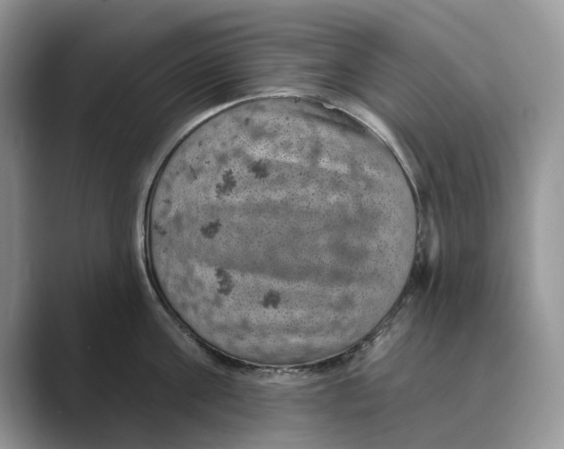 X0000088850811200707061031