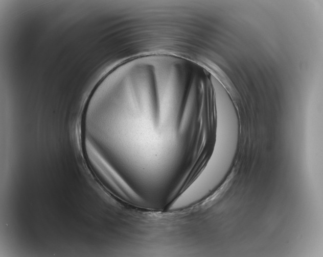 X0000088850812200707061031