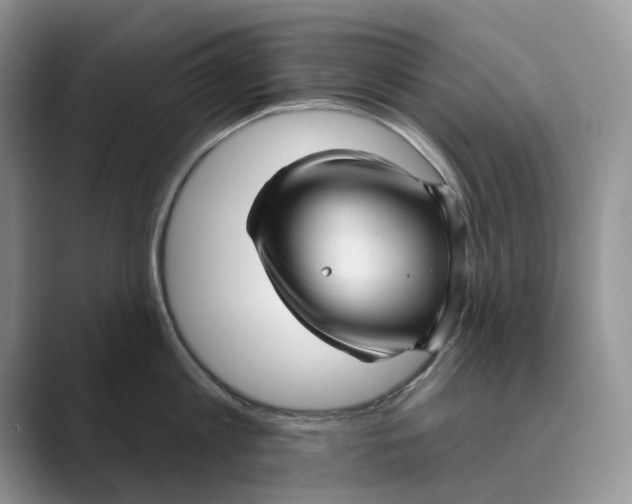 X0000088850813200707061031