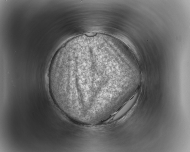 X0000088850814200707061031