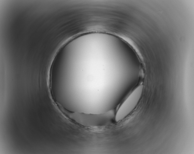 X0000088850815200707061031