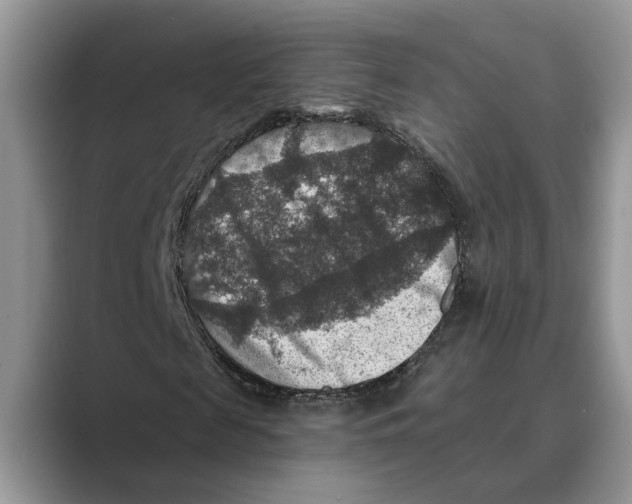 X0000088850817200707061031