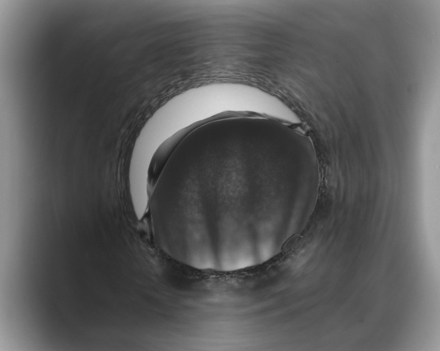 X0000088850818200707061031