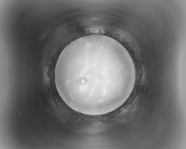X0000088850820200707061031
