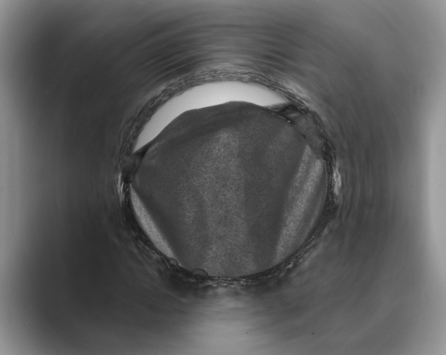 X0000088850822200707061031