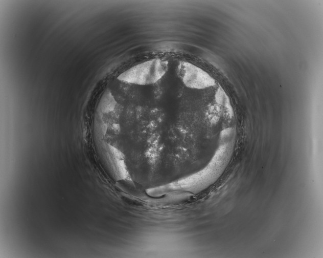 X0000088850823200707061031