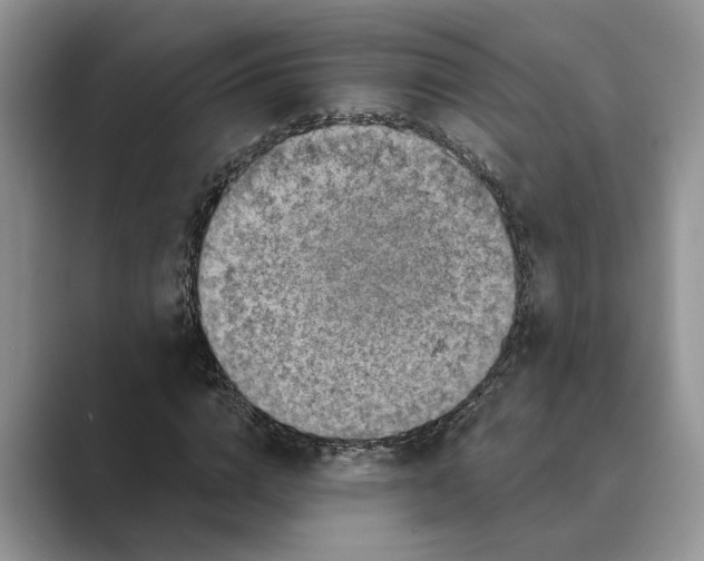 X0000088850824200707061031