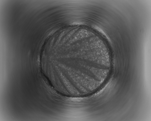 X0000088850825200707061031