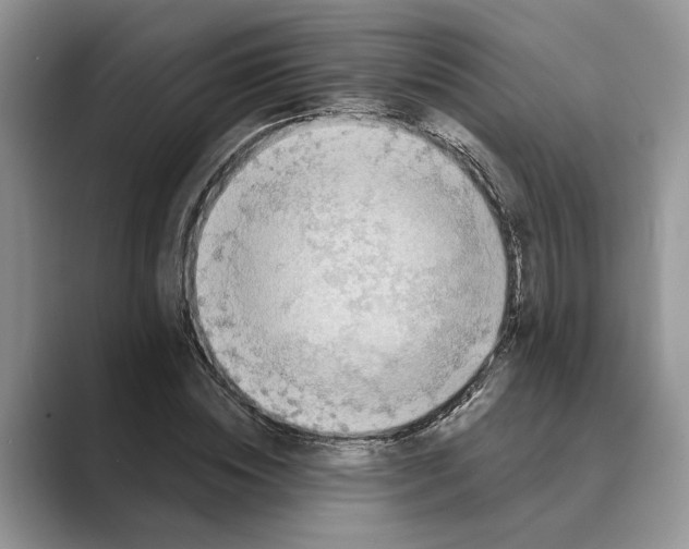 X0000088850828200707061031
