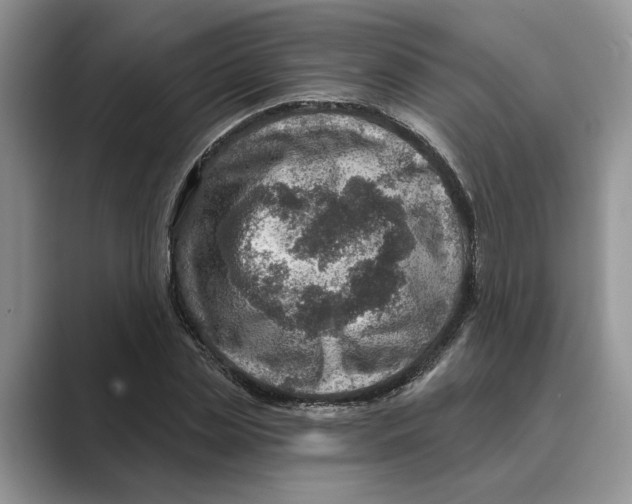 X0000088850829200707061031