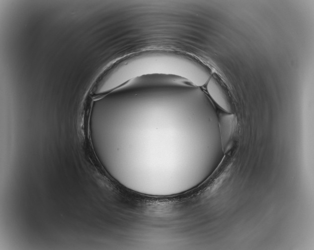 X0000088850830200707061031