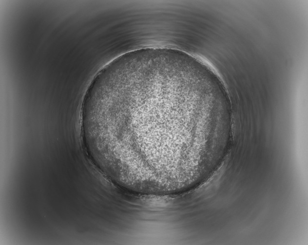 X0000088850831200707061031