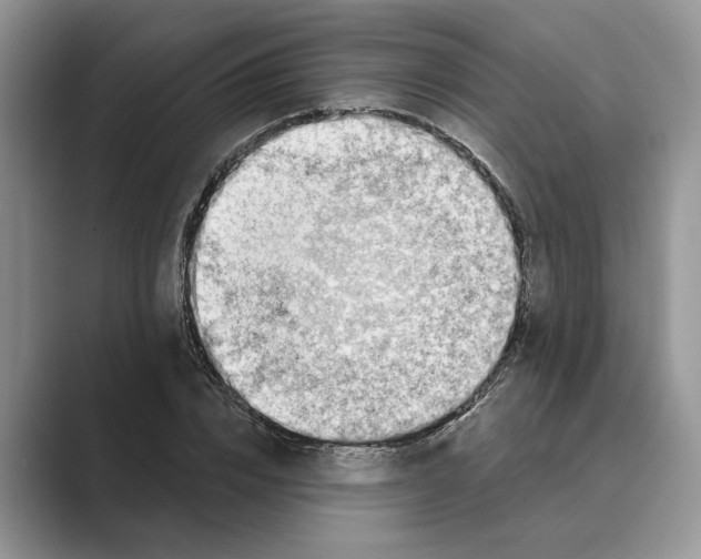 X0000088850832200707061031