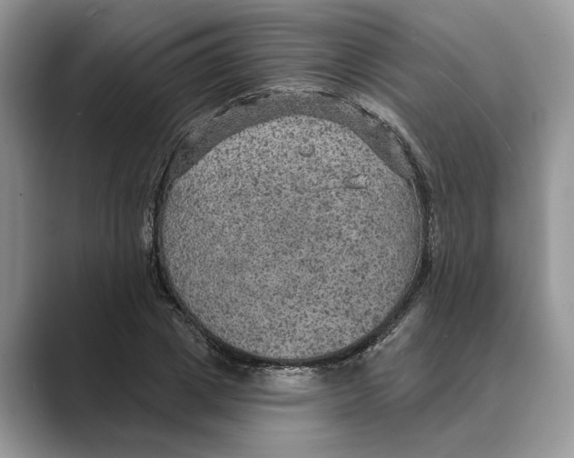 X0000088850833200707061031