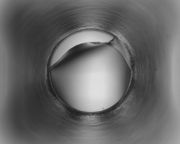 X0000088850834200707061031