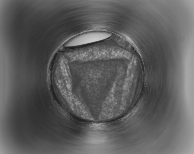 X0000088850835200707061031
