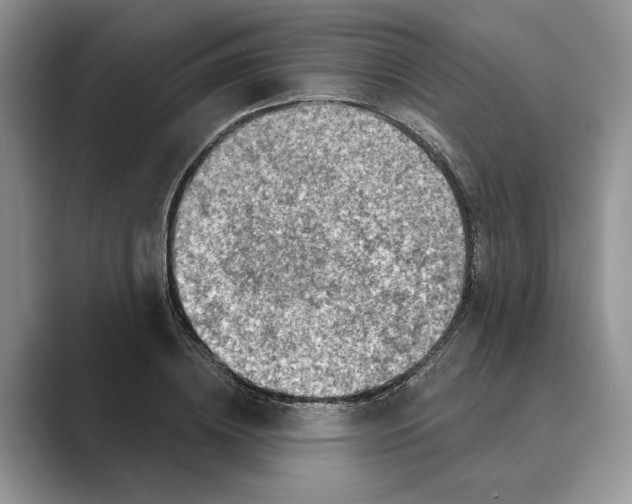 X0000088850836200707061031