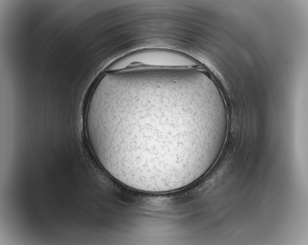 X0000088850837200707061031