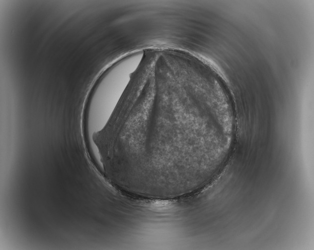 X0000088850839200707061031