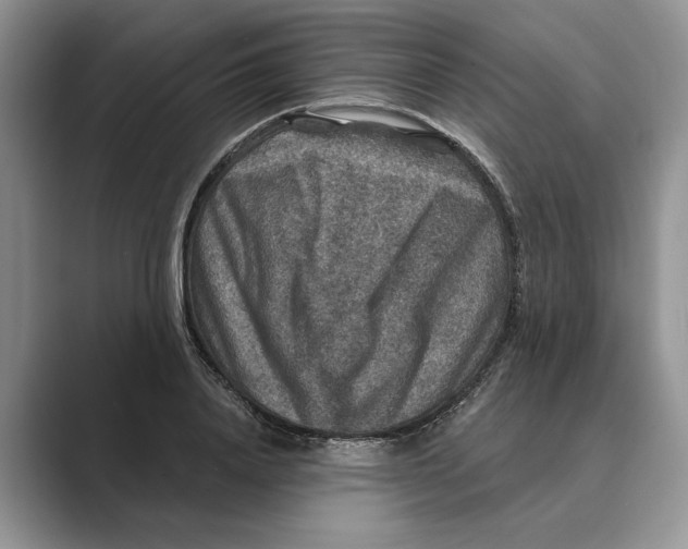 X0000088850840200707061031