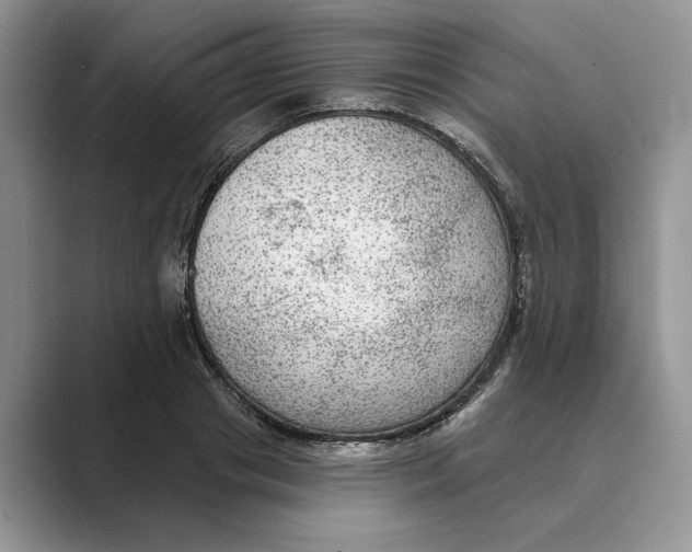 X0000088850841200707061031