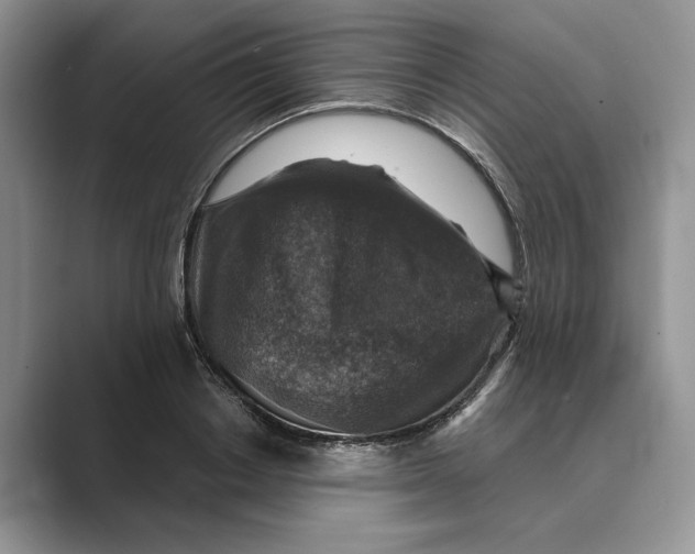 X0000088850842200707061031