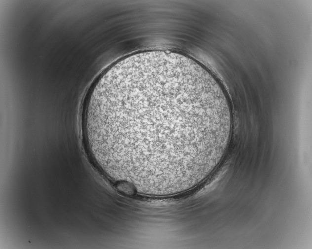 X0000088850843200707061031