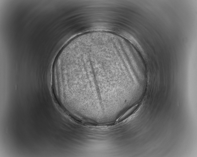 X0000088850844200707061031