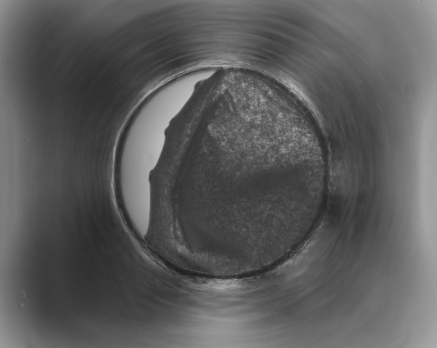 X0000088850845200707061031