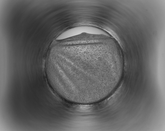 X0000088850849200707061031