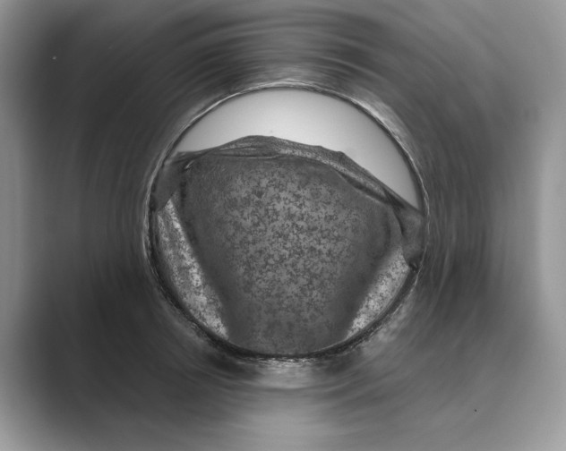 X0000088850850200707061031