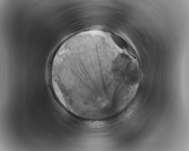 X0000088850851200707061031