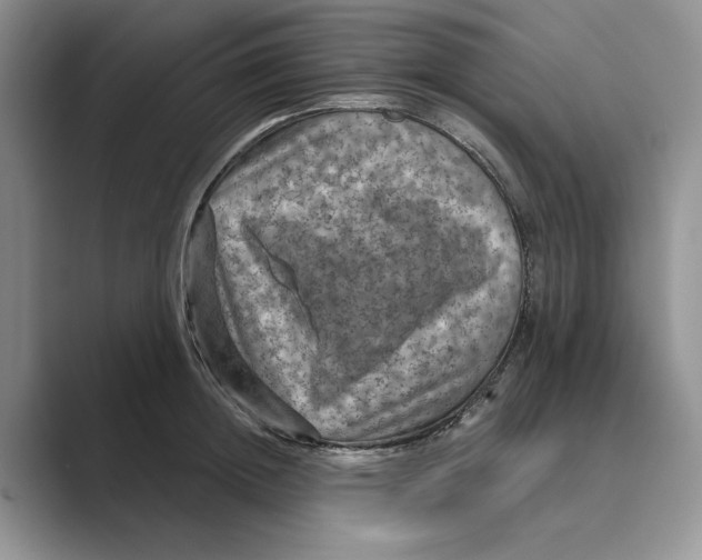 X0000088850852200707061031