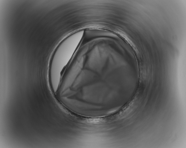 X0000088850853200707061031
