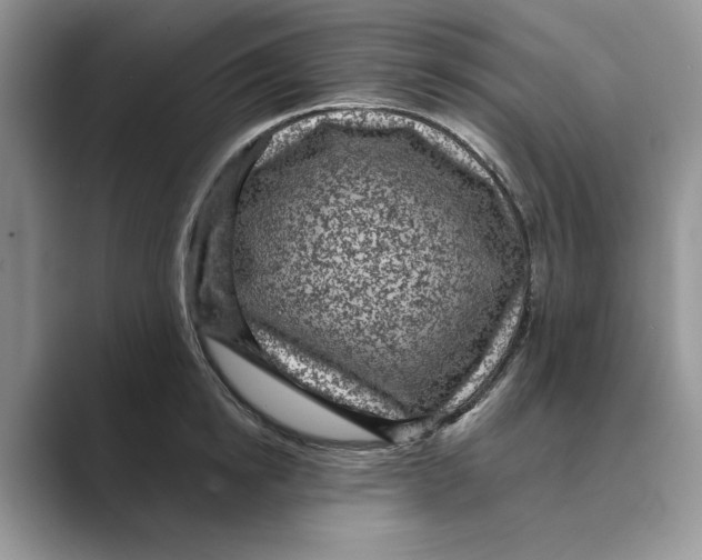 X0000088850854200707061031