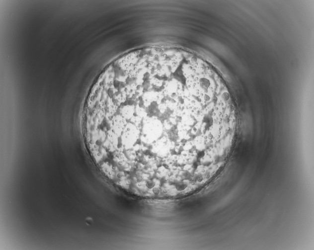 X0000088850856200707061031