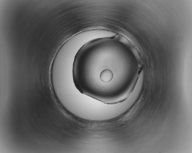 X0000088850858200707061031